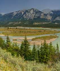 Athabasca River Jasper Alberta Canada Panoramic Landscape Photography Grass Photo Fine Art Prints - 017125 - 26-08-2015 - 7550x8913 Pixel Athabasca River Jasper Alberta Canada Panoramic Landscape Photography Grass Photo Fine Art Prints Country Road Cloud Spring Fine Art Photography Prints...