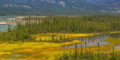 Athabasca River Jasper Alberta Canada Panoramic Landscape Photography Image Stock Order - 017130 - 26-08-2015 - 32318x7599 Pixel Athabasca River Jasper Alberta Canada Panoramic Landscape Photography Image Stock Order Fine Art Photography Gallery Stock Fine Art Fotografie Fine Art Pictures...
