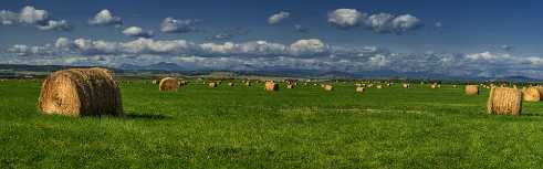Farmland Farmland - Panoramic - Landscape - Photography - Photo - Print - Nature - Stock Photos - Images - Fine Art Prints - Sale...