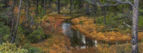 Carcross Lake Carcross Lake - Panoramic - Landscape - Photography - Photo - Print - Nature - Stock Photos - Images - Fine Art Prints -...