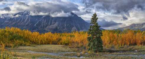 Haines Junction Haines Junction - Panoramic - Landscape - Photography - Photo - Print - Nature - Stock Photos - Images - Fine Art Prints...