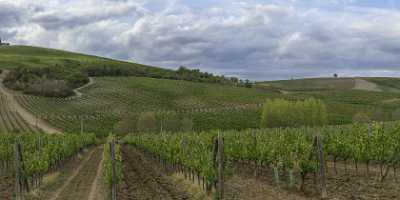Castellina In Chianti Tuscany Winery Panoramic Viepoint Lookout Fine Art Photography Gallery Animal - 022730 - 15-09-2017 - 39013x7531 Pixel Castellina In Chianti Tuscany Winery Panoramic Viepoint Lookout Fine Art Photography Gallery Animal Fog Fine Art Photography Galleries Fine Art Fotografie Photo...