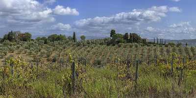Castellina In Chianti Tuscany Winery Panoramic Viepoint Lookout Stock Images - 022763 - 12-09-2017 - 29619x10820 Pixel Castellina In Chianti Tuscany Winery Panoramic Viepoint Lookout Stock Images Fine Art Prints For Sale Photo Pass Fine Art Foto Fine Art Printer Barn Royalty...
