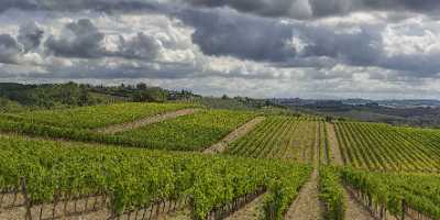 Lilliano Chianti Tuscany Winery Panoramic Viepoint Lookout Hill River What Is Fine Art Photography - 022818 - 15-09-2017 - 18190x7883 Pixel Lilliano Chianti Tuscany Winery Panoramic Viepoint Lookout Hill River What Is Fine Art Photography Fine Art Printing Modern Art Print Fine Art Giclee Printing...