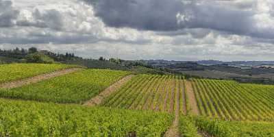 Lilliano Chianti Tuscany Winery Panoramic Viepoint Lookout Hill Art Printing Grass Winter Sky - 022819 - 15-09-2017 - 23521x9308 Pixel Lilliano Chianti Tuscany Winery Panoramic Viepoint Lookout Hill Art Printing Grass Winter Sky Fine Art America Fine Art Landscape Fine Art Photography Prints...