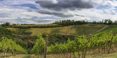 Montefalconi Tuscany Winery Panoramic Viepoint Lookout Hill Autumn Fine Art Photography Gallery - 022774 - 16-09-2017 - 21055x10507 Pixel Montefalconi Tuscany Winery Panoramic Viepoint Lookout Hill Autumn Fine Art Photography Gallery Fine Art Giclee Printing Fine Art Printer Cloud Prints For Sale...