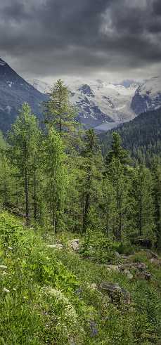 Berninapass Berninapass - Panoramic - Landscape - Photography - Photo - Print - Nature - Stock Photos - Images - Fine Art Prints -...