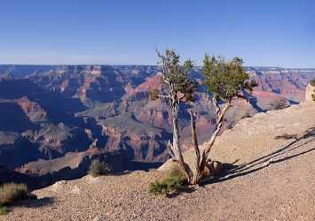Grand Canyon West Rim Tusayan Sunrise Sunset Colorado Barn Fine Art Photography Gallery - 011051 - 28-09-2011 - 6392x4503 Pixel Grand Canyon West Rim Tusayan Sunrise Sunset Colorado Barn Fine Art Photography Gallery Royalty Free Stock Images Art Photography For Sale Forest Fine Art...