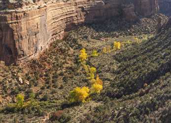 Grand Junction Colorado Rimrock Drive Upper Ute Canyon Order Royalty Free Stock Photos - 021910 - 18-10-2017 - 12266x8826 Pixel Grand Junction Colorado Rimrock Drive Upper Ute Canyon Order Royalty Free Stock Photos Prints For Sale Sunshine Mountain Royalty Free Stock Images Cloud Hi...