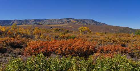 Grand Mesa Delta, Grand Mesa National Forest - Panoramic - Landscape - Photography - Photo - Print - Nature - Stock Photos - Images...