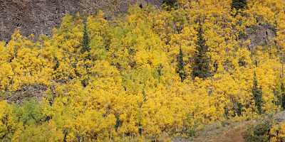 Ouray Million Dollar Highway Colorado Autumn Color Fall Nature What Is Fine Art Photography - 007879 - 17-09-2010 - 11990x4189 Pixel Ouray Million Dollar Highway Colorado Autumn Color Fall Nature What Is Fine Art Photography Fine Arts Stock Images Stock Pictures Fine Art Foto Fine Art...