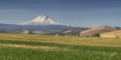 Dufur Mount Hood National Forest Oregon Farm Grass Order Autumn Outlook Fine Art Prints Ice Spring - 022376 - 06-10-2017 - 25401x7662 Pixel Dufur Mount Hood National Forest Oregon Farm Grass Order Autumn Outlook Fine Art Prints Ice Spring Royalty Free Stock Images Modern Wall Art Town Fine Art...
