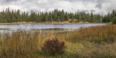Hardman Oregon Bull Prairie Lake Forest Country Site Photography Prints For Sale Stock Photos - 022328 - 07-10-2017 - 16973x7674 Pixel Hardman Oregon Bull Prairie Lake Forest Country Site Photography Prints For Sale Stock Photos Fine Art Prints Park Animal Royalty Free Stock Images Fine Art...