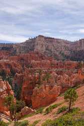Bryce Canyon National Park Utah Point Navajo Fine Art Photo Spring Fine Art Photographers - 008813 - 09-10-2010 - 4239x7448 Pixel Bryce Canyon National Park Utah Point Navajo Fine Art Photo Spring Fine Art Photographers Photo Fine Art Modern Wall Art Animal Modern Art Prints View Point...