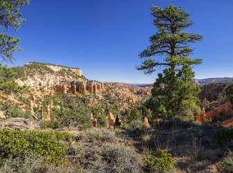 Bryce Canyon Rim Trail Overlook Utah Autumn Fine Art Foto Fine Arts Photography Panoramic - 014962 - 02-10-2014 - 9977x7406 Pixel Bryce Canyon Rim Trail Overlook Utah Autumn Fine Art Foto Fine Arts Photography Panoramic Stock Pictures Cloud Forest River Sale What Is Fine Art Photography...