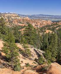 Bryce Canyon Rim Trail Overlook Utah Autumn Country Road Sea Forest Coast Art Prints For Sale Leave - 014975 - 02-10-2014 - 7405x8905 Pixel Bryce Canyon Rim Trail Overlook Utah Autumn Country Road Sea Forest Coast Art Prints For Sale Leave Fine Art Photos Fine Art Foto Fine Arts Photography Royalty...