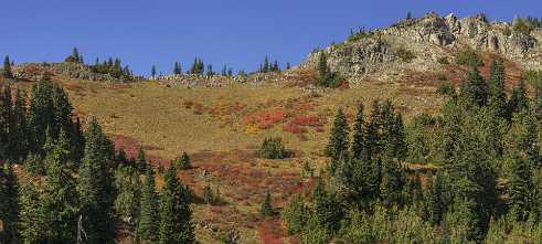 Chinook Pass Chinook Pass Longmire Mt Rainer Nationalpark Washington Autumn Fine Art Printer Fine Art Fotografie Fine Art Nature...